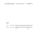 Isolated Chimeric Proteins Of Modified Lumazine Synthase diagram and image