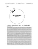 Isolated Chimeric Proteins Of Modified Lumazine Synthase diagram and image