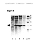 Isolated Chimeric Proteins Of Modified Lumazine Synthase diagram and image