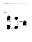 Isolated Chimeric Proteins Of Modified Lumazine Synthase diagram and image