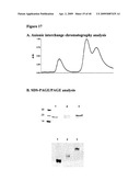 Isolated Chimeric Proteins Of Modified Lumazine Synthase diagram and image