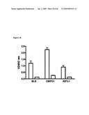 Isolated Chimeric Proteins Of Modified Lumazine Synthase diagram and image