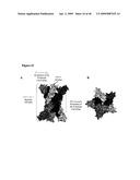 Isolated Chimeric Proteins Of Modified Lumazine Synthase diagram and image