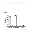 Isolated Chimeric Proteins Of Modified Lumazine Synthase diagram and image