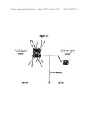 Isolated Chimeric Proteins Of Modified Lumazine Synthase diagram and image