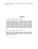 Isolated Chimeric Proteins Of Modified Lumazine Synthase diagram and image