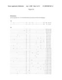 Novel Peptide Compositions and the Use Thereof, in Particular, in the Preparation of Active Pharmaceutical Compositions Against the Hepatitis C Virus diagram and image