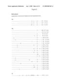 Novel Peptide Compositions and the Use Thereof, in Particular, in the Preparation of Active Pharmaceutical Compositions Against the Hepatitis C Virus diagram and image