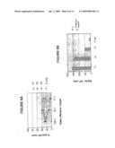 Novel Peptide Compositions and the Use Thereof, in Particular, in the Preparation of Active Pharmaceutical Compositions Against the Hepatitis C Virus diagram and image