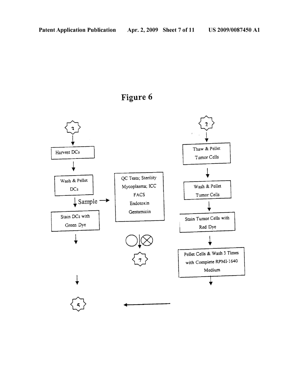 Combination therapy of hybrid cells with BCG injection for treating Cancer Patients - diagram, schematic, and image 08