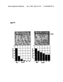 Orally Deliverable and Anti-Toxin Antibodies and Methods for Making and Using Them diagram and image