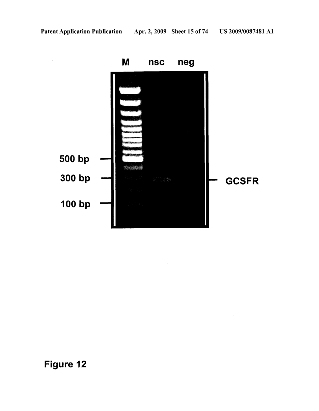 METHODS OF TREATING NEUROLOGICAL CONDITIONS WITH HEMATOPOEITIC GROWTH FACTORS - diagram, schematic, and image 16