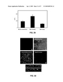 Methods and Compositions for Targeted Delivery of Therapeutic Agents diagram and image