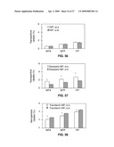 Methods and Compositions for Targeted Delivery of Therapeutic Agents diagram and image