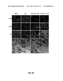 Methods and Compositions for Targeted Delivery of Therapeutic Agents diagram and image