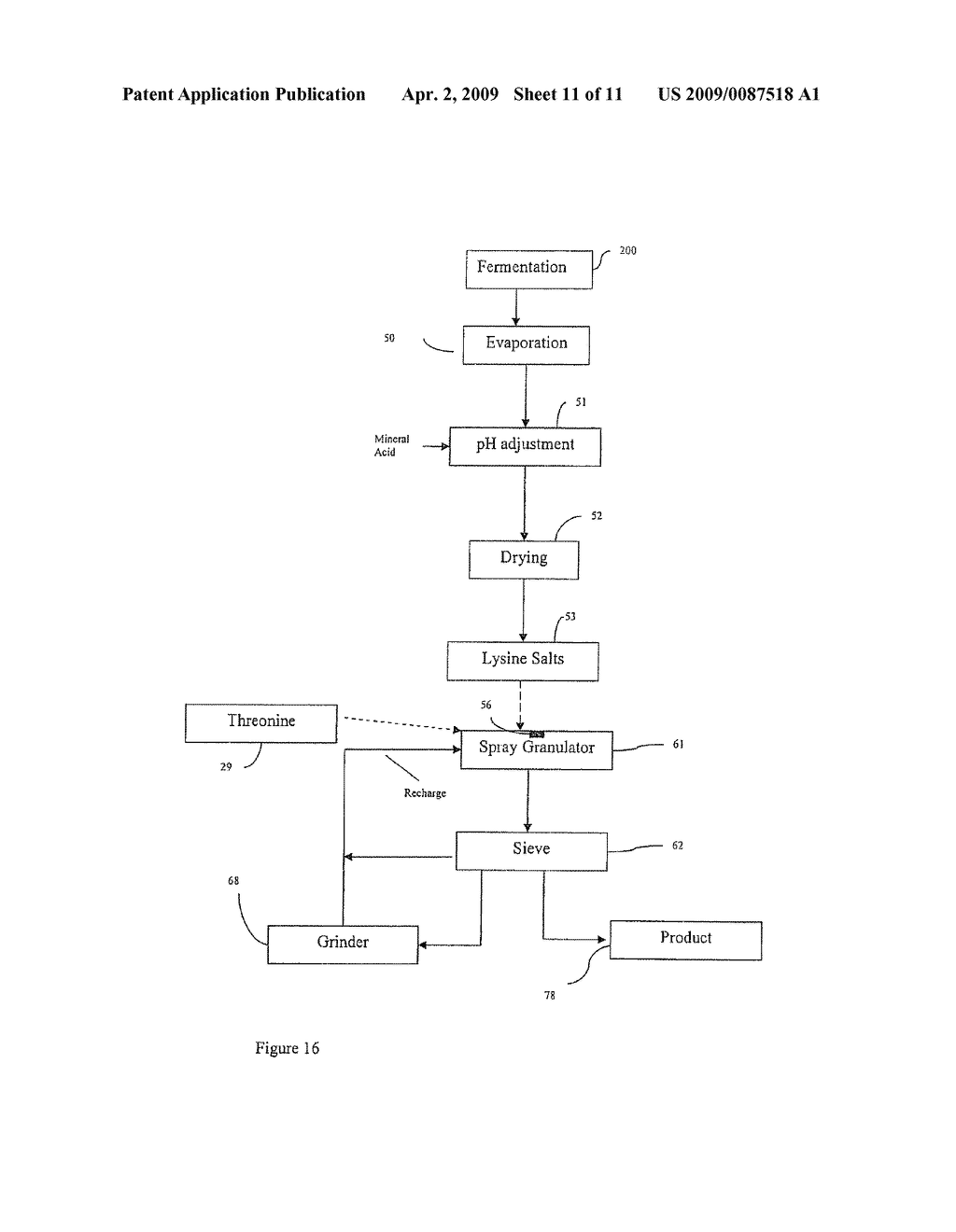 Heteromorphic Lysine Feed Granules - diagram, schematic, and image 12