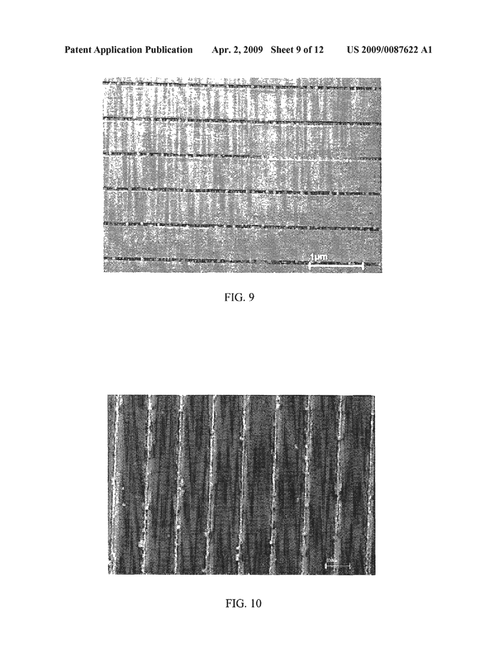 Directed Assembly of Carbon Nanotubes and Nanoparticles Using Nanotemplates With Nanotrenches - diagram, schematic, and image 10