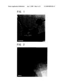 FINE CARBON FIBROUS STRUCTURE diagram and image