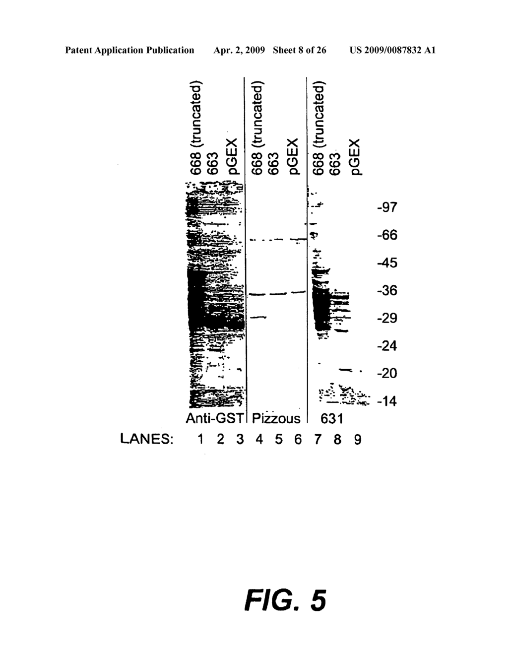 Nucleic acids and new polypeptides associated with and/or overlapping with hepatitis C virus core gene products - diagram, schematic, and image 09