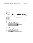 Presynaptic protein cast diagram and image