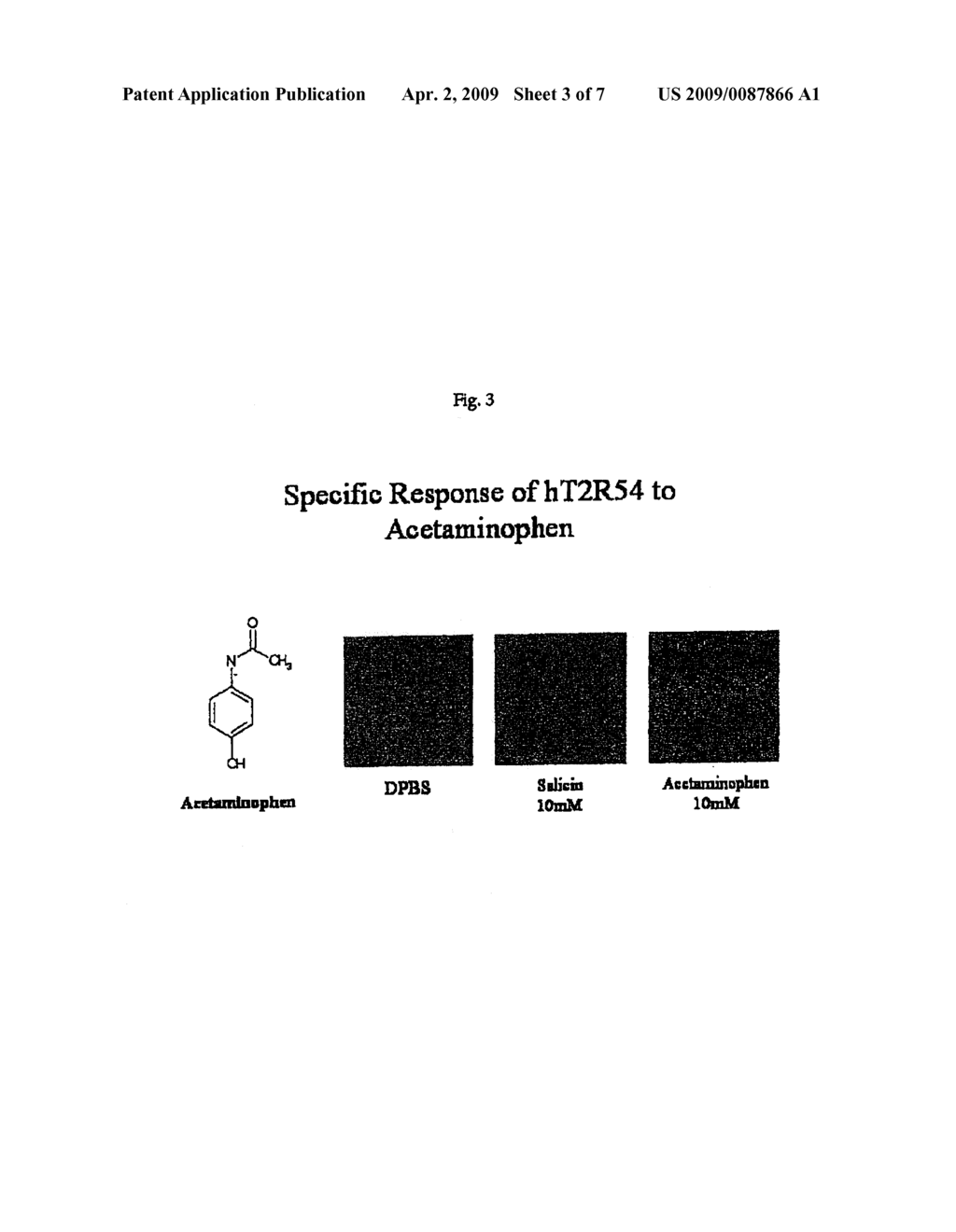 HUMAN T2R RECEPTORS FOR RANITIDINE, STRYCHNINE AND DENATONIUM AND RELATED ASSAYS FOR IDENTIFYING HUMAN BITTER TASTE MODULATORS - diagram, schematic, and image 04