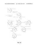 Protein secretion in eukaryotic cells diagram and image