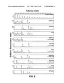 Protein secretion in eukaryotic cells diagram and image