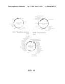 Protein secretion in eukaryotic cells diagram and image