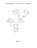 Protein secretion in eukaryotic cells diagram and image