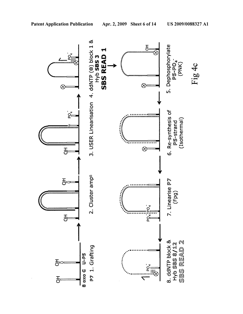 Method for sequencing a polynucleotide template - diagram, schematic, and image 07