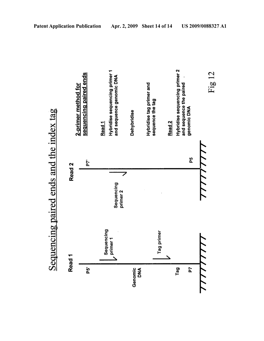 Method for sequencing a polynucleotide template - diagram, schematic, and image 15