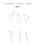Method Selecting Highly Specific Probes For HPV Genotype Analysis and the Probes Thereof diagram and image
