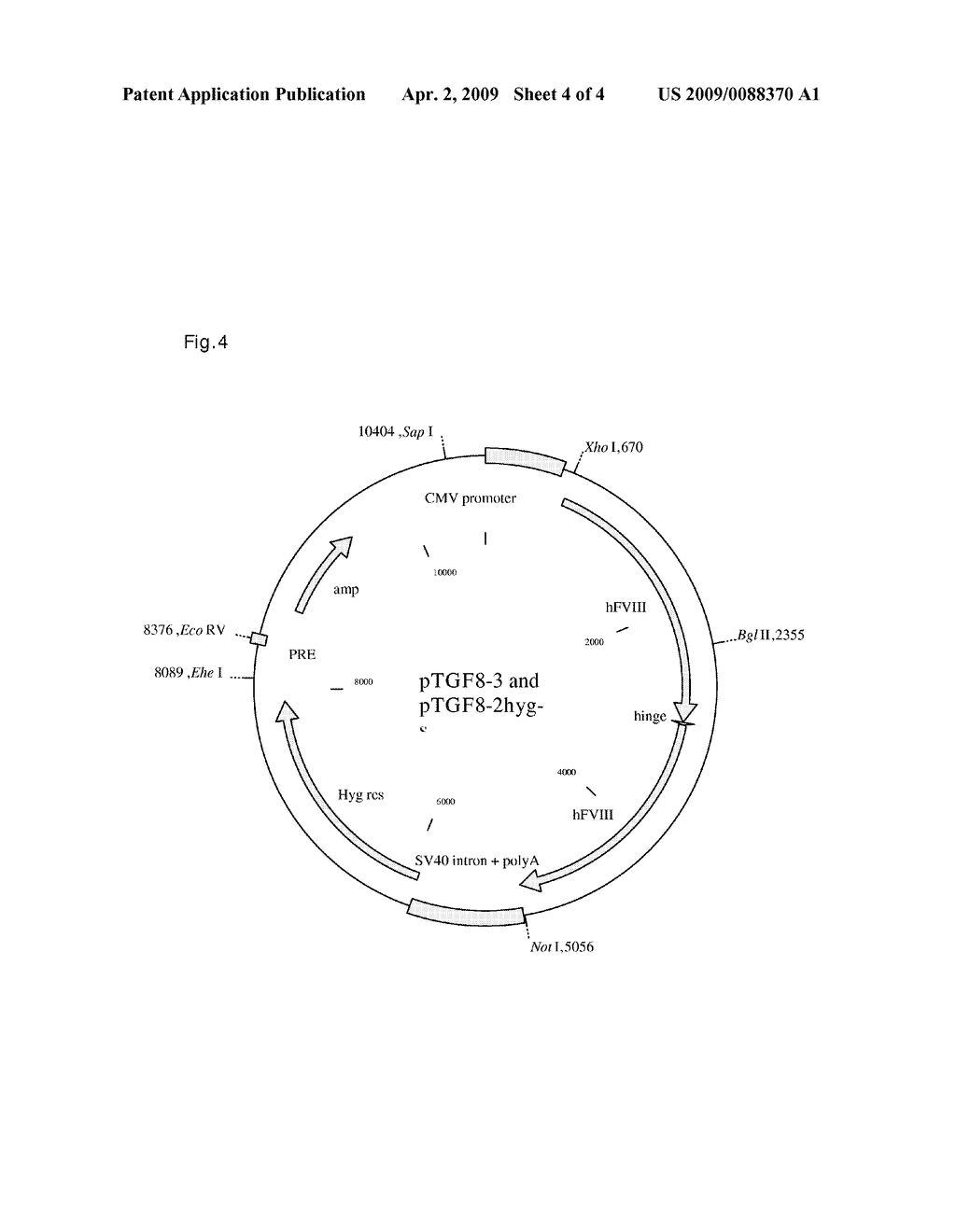 Method for Improved Isolation of Recombinantly Produced Proteins - diagram, schematic, and image 05