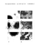 COMPOSITIONS CONTAINING ANTI-HIV PEPTIDES AND METHODS FOR USE diagram and image