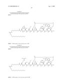 Peptides for Use In Treating Obesity diagram and image