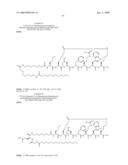 Peptides for Use In Treating Obesity diagram and image