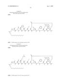 Peptides for Use In Treating Obesity diagram and image