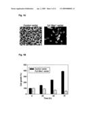 NOVEL AGENT FOR INDUCING APOPTOSIS COMPRISING MSX1 OR A GENE ENCODING THE SAME AS AN ACTIVE INGREDIENT diagram and image