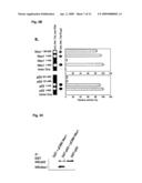 NOVEL AGENT FOR INDUCING APOPTOSIS COMPRISING MSX1 OR A GENE ENCODING THE SAME AS AN ACTIVE INGREDIENT diagram and image