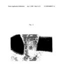 NOVEL SEMAPHORIN GENES (I) diagram and image