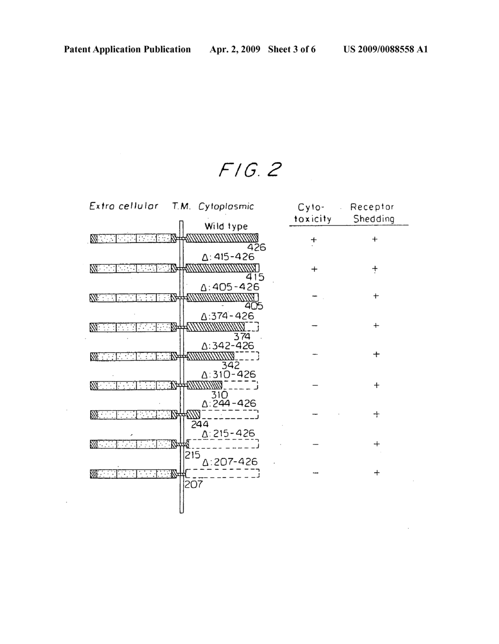 TNF RECEPTOR ACTION MODULATION - diagram, schematic, and image 04