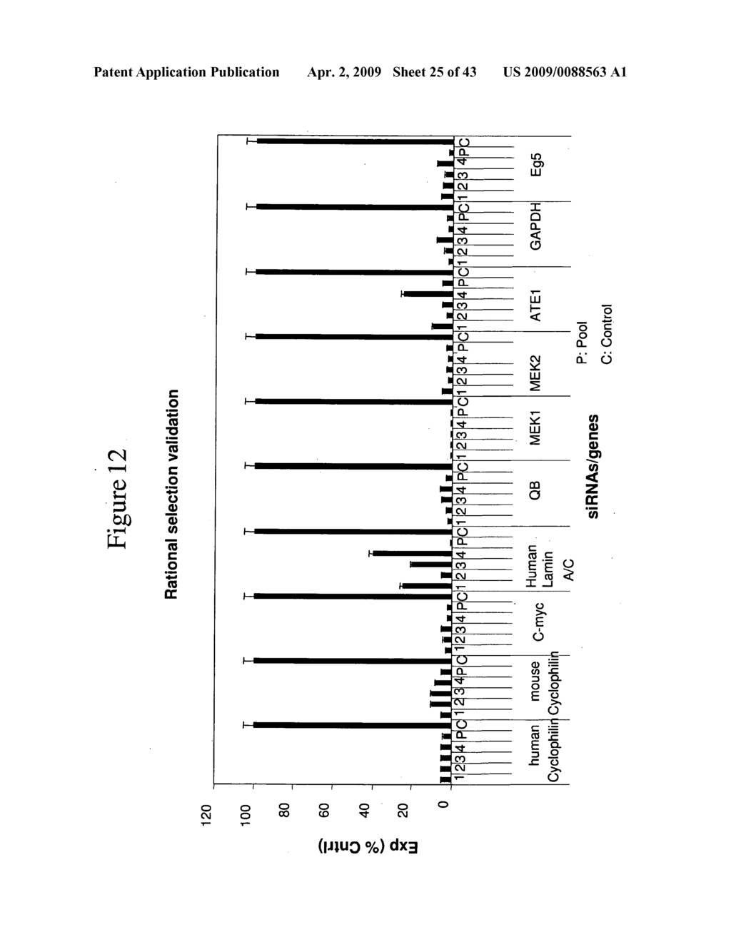 siRNA targeting Transducin (beta)-like 3 (TBL3) - diagram, schematic, and image 26