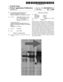 NUCLEAR MAGNETIC RESONANCE IMAGING OF SELECTIVE SMALL MOLECULE DRUGS AS CONTRAST AGENTS diagram and image