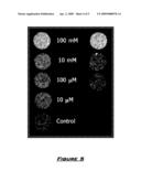 NUCLEAR MAGNETIC RESONANCE IMAGING OF SELECTIVE SMALL MOLECULE DRUGS AS CONTRAST AGENTS diagram and image