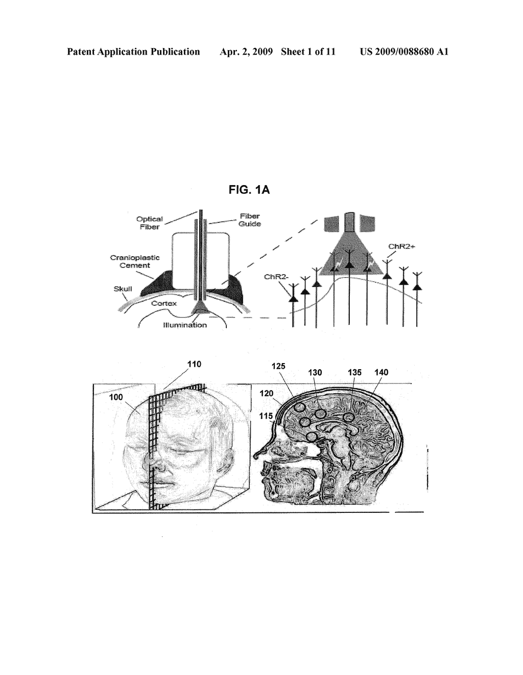 OPTICAL TISSUE INTERFACE METHOD AND APPARATUS FOR STIMULATING CELLS - diagram, schematic, and image 02