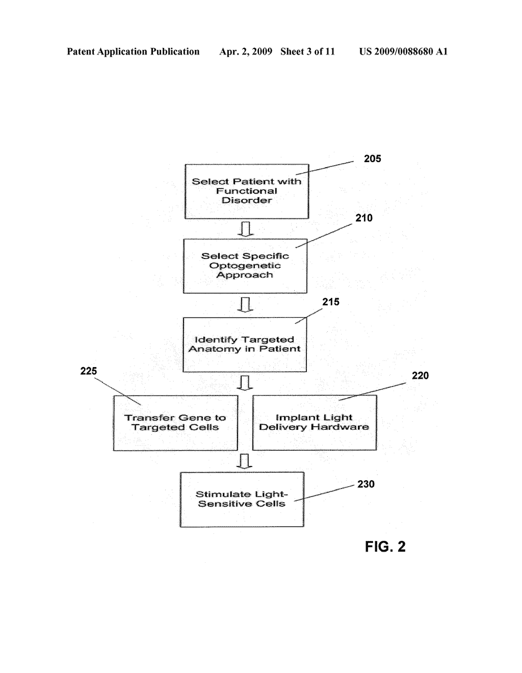 OPTICAL TISSUE INTERFACE METHOD AND APPARATUS FOR STIMULATING CELLS - diagram, schematic, and image 04