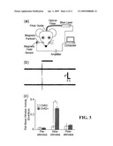 OPTICAL TISSUE INTERFACE METHOD AND APPARATUS FOR STIMULATING CELLS diagram and image