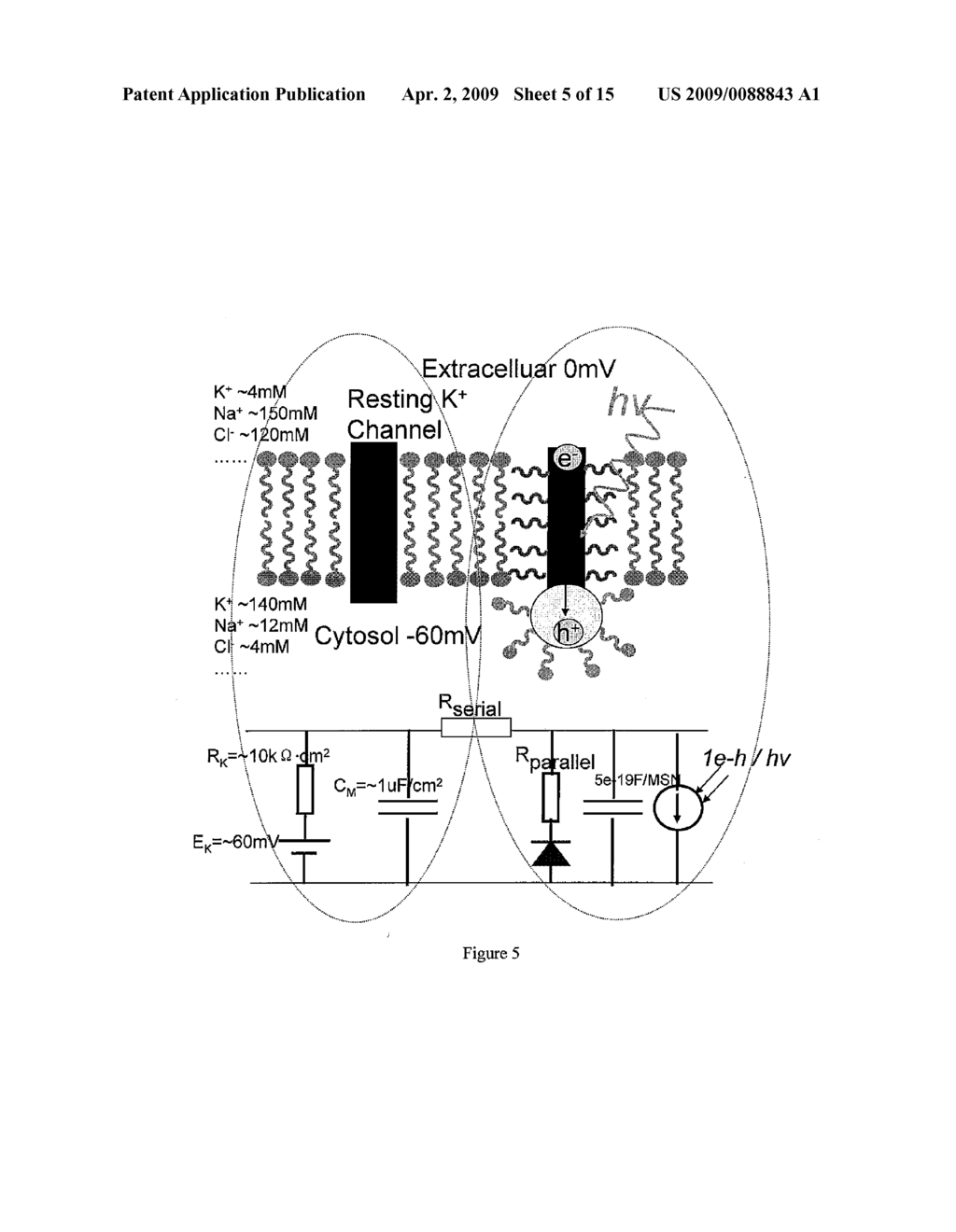 FUNCTIONAL ABIOTIC NANOSYSTEMS - diagram, schematic, and image 06