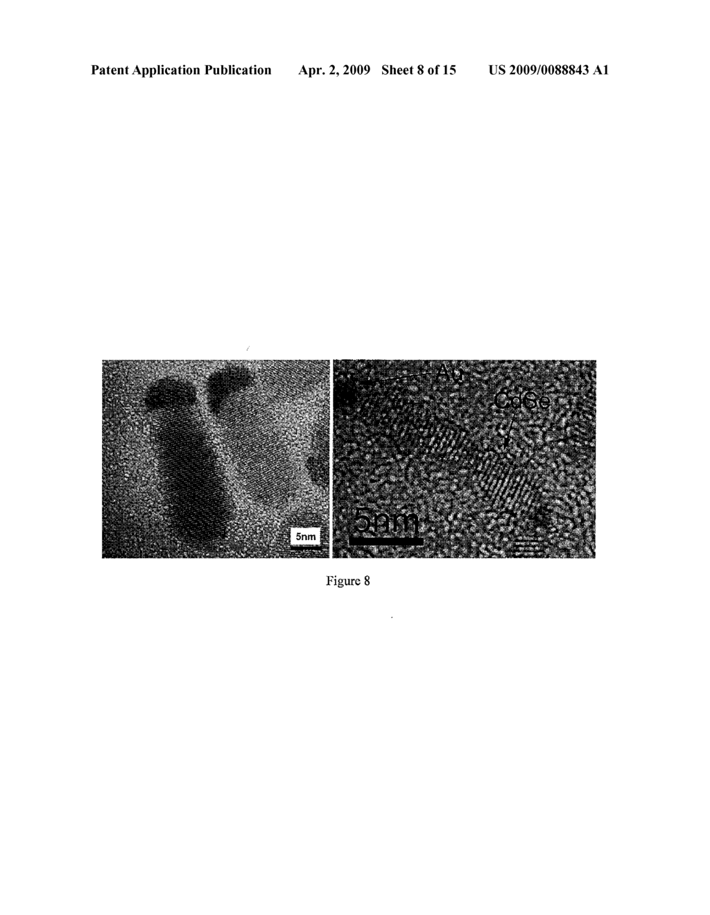 FUNCTIONAL ABIOTIC NANOSYSTEMS - diagram, schematic, and image 09