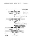 METHODS AND MEANS FOR REMOVAL OF A SELECTED DNA SEQUENCE diagram and image